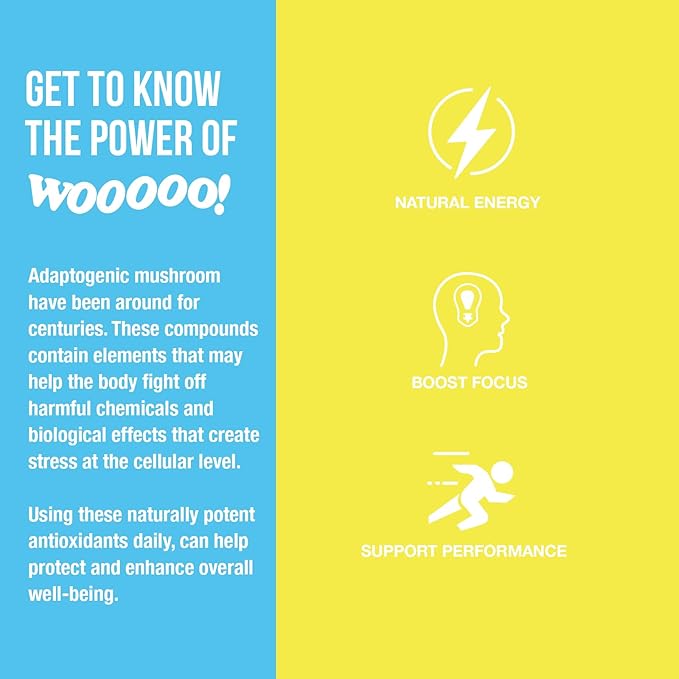 Wooooo! Energy Ric Flair Sparkling Adaptogenic Mushroom Energy Drink | Natural Antioxidants & Nootropics | Lion’s Mane & Cordyceps | 150mg Caffeine | 12 Pack (Lemon)