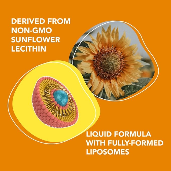 AMANDEAN Liposomal Vitamin C 1000mg. Liquid VIT C Supplement. Immune Support, Skin Health, Collagen Production. Fast Absorbing Antioxidant Delivery. Quali-C, Soy-Free, Vegan, Non-GMO.