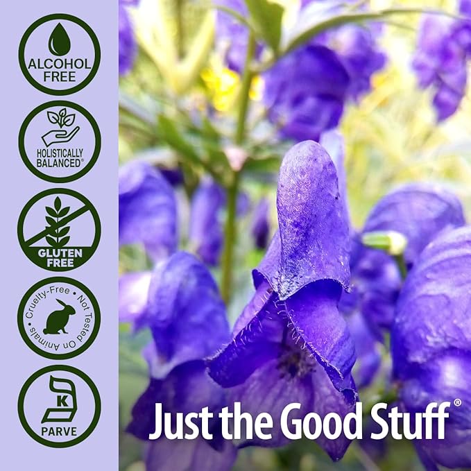 Nature's Answer Alcohol-Free Skullcap Herb, 1-Fluid Ounce