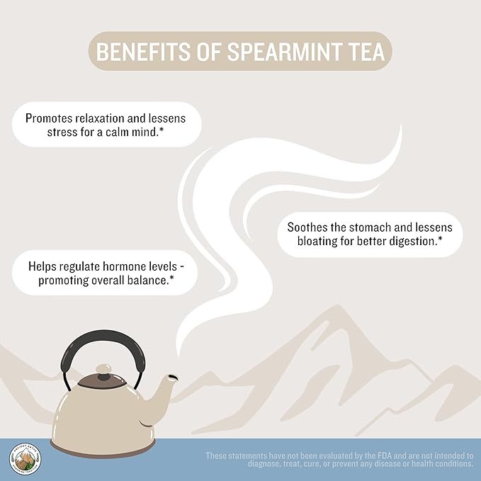 Ancient Paths Spearmint Herbal Tea - Hormone Balance & Gut Support - 100% Pure Dried Spearmint Leaves - Caffeine-Free Tea - Sustainable Tea Bags & USA Grown (20 Sachets)