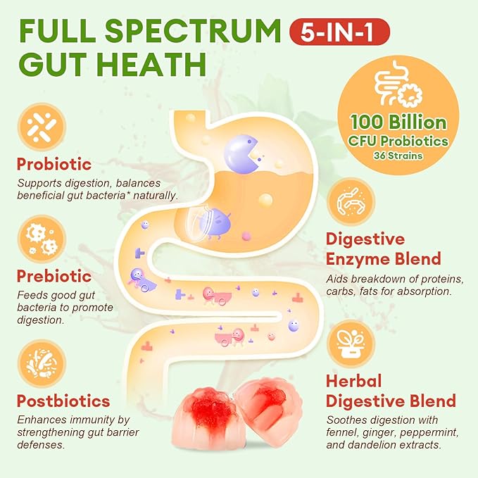 Sugar Free 5-in-1 Probiotic Prebiotic Postbiotic Gummy, 36 Strains Probiotics for Women Men with Digestive Enzymes, Peppermint, Complete Immune, Gut & Digestive Support, Vegan, 60 Counts