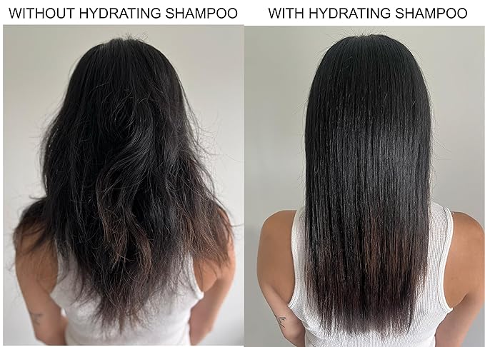 Alcôve - Hydrating Shampoo - Evening Primrose Oil, Mango Extract, and Argan Oil - Sulfate Free Shampoo - All Hair Types - For Dry Scalp - Color-Safe - Lightweight Formula - 300ml