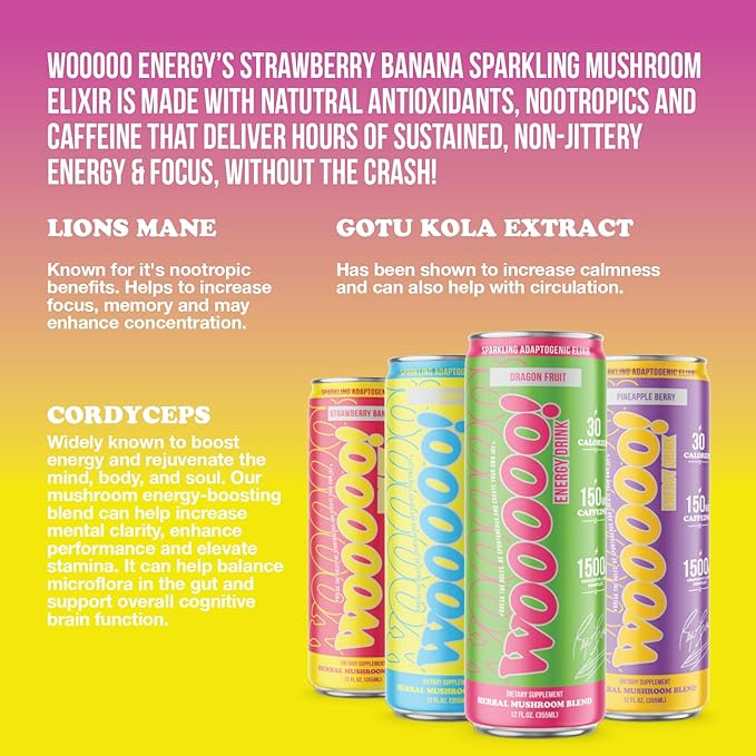 Wooooo! Energy Ric Flair Sparkling Adaptogenic Mushroom Energy Drink | Natural Antioxidants & Nootropics | Lion’s Mane & Cordyceps | 150mg Caffeine | 12 Pack (Variety Pack)