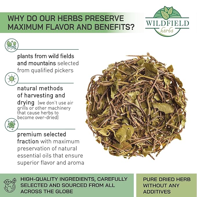 24 Bags Dried Cut Sidebells Wintergreen Herb Tea (Orthilia Secunda) - 24 Count 2g Tea Bags One-Sided Wintergreen Orthilia (Peralito)