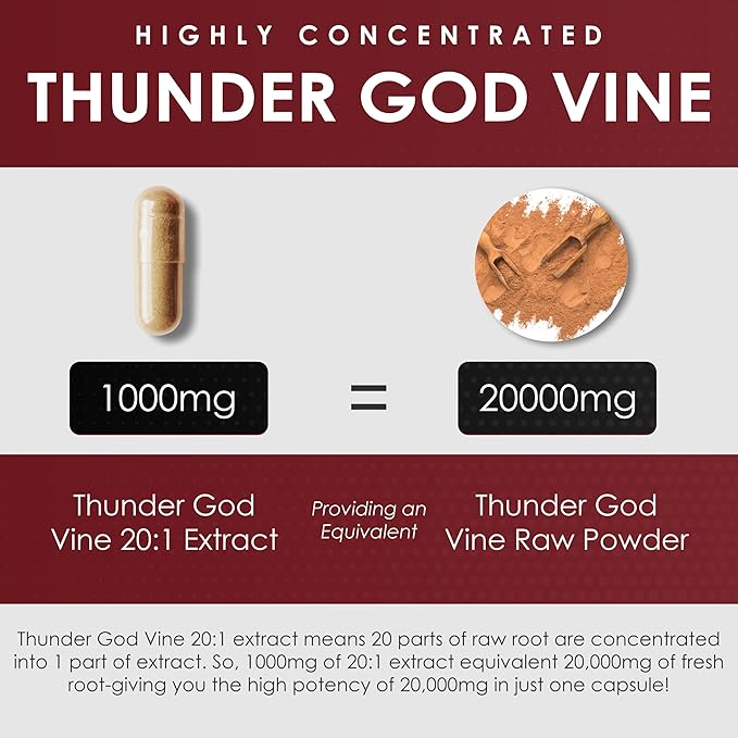 AMALTH Thunder God Vine Root – Tripterygium Wilfordii Herbal Supplement – Capsules with Lei Gong Teng Extract with Triptolide – 120 Capsules