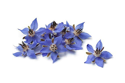 US Organic Borage seed Oil (18% GLA), Certified Organic, Pure & Natural, Cold Pressed, aka Starflower oil (128 Ounce (1 gallon))