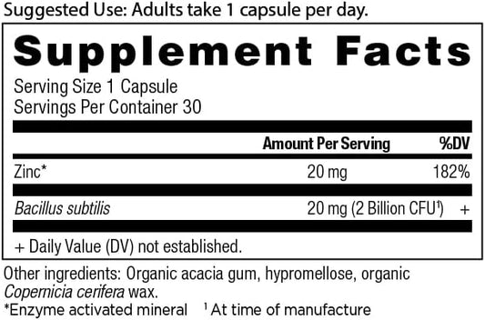 Ancient Nutrition Probiotics and Zinc Supplement, Supports Healthy Immune System and Gut Health, Made Without GMOs, Superfoods Supplement, Paleo and Keto Friendly, 30 Count