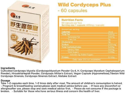 Wild Cordyceps Plus – Tibetan Wild Cordyceps & 5 Cultivated Cordyceps for Immune, Energy & Lung Support – 60 Capsules