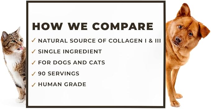 8oz Beef Bone Broth Powder for Dogs and Cats - Human Grade Grass-Fed for Picky Eaters - Supports Joints and Gut Health - Single Ingredient Dog Food Topper for Dry Food