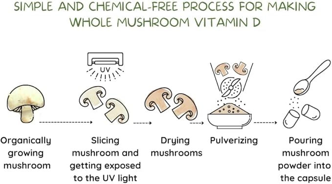 Vegan Whole Food Vitamin D, 2000 IU (50 mcg), D2, Two Ingredients (Organic Whole Mushroom and Organic Vegan Capsule), Non-GMO, Third Party Tested, 60 Day Supply