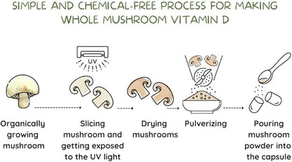 Vegan Whole Food Vitamin D, 2000 IU (50 mcg), D2, Two Ingredients (Organic Whole Mushroom and Organic Vegan Capsule), Non-GMO, Third Party Tested, 60 Day Supply