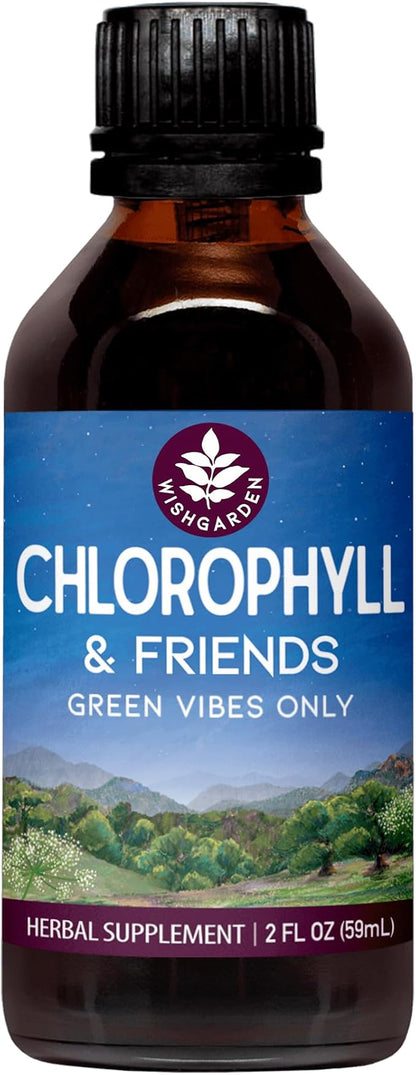 WishGarden Herbs Chlorophyll & Friends - Chlorophyll Liquid Drops with Nettle Leaf, Holy Basil, Moringa Leaf & Peppermint Leaf, Supports Increased Energy, Healthy Immune, & Stress Response, 2oz