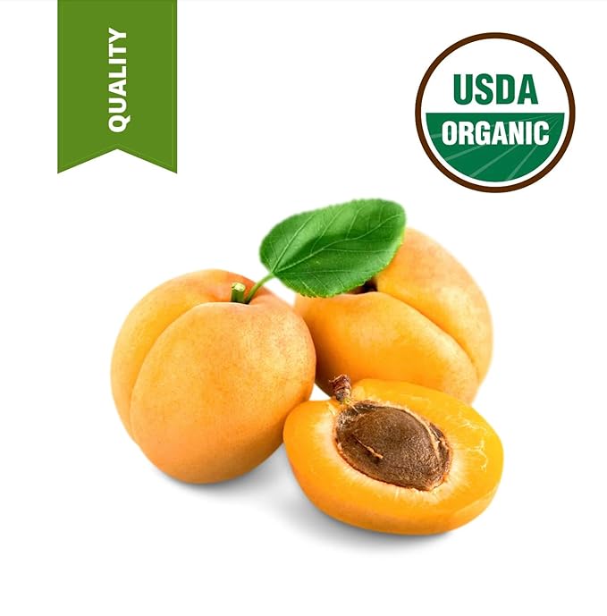 1 Gallon USDA Organic Cold Pressed Unrefined Apricot Kernel Oil