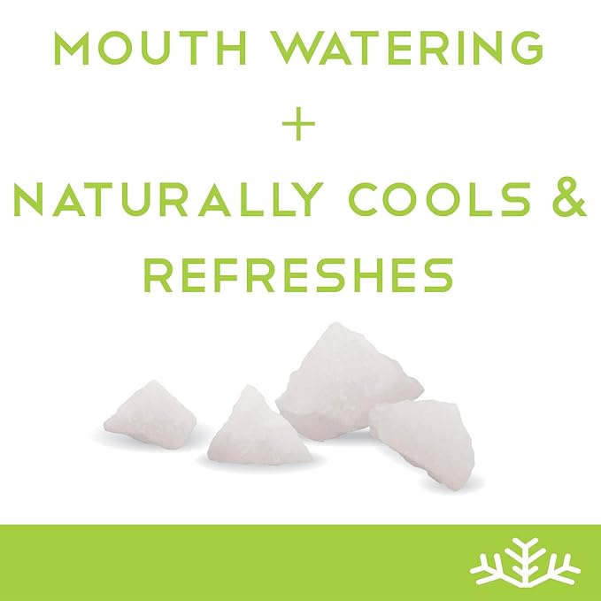 Spearmint KETO Xylitol Candy Chips - SNØ 1LB Bag - Sugar-Free Candy With Only 2 Ingredients | Low Carbs, Diabetic-Friendly, Non-GMO, Vegan, GF & Kosher | Purest candy in the world!