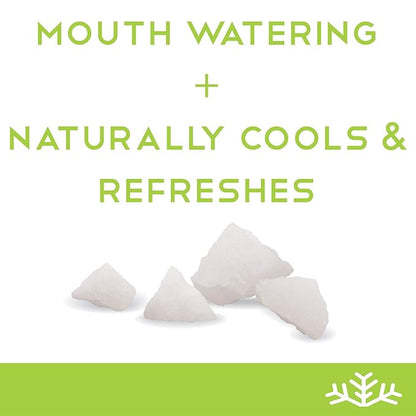 Spearmint KETO Xylitol Candy Chips - SNØ 1LB Bag - Sugar-Free Candy With Only 2 Ingredients | Low Carbs, Diabetic-Friendly, Non-GMO, Vegan, GF & Kosher | Purest candy in the world!