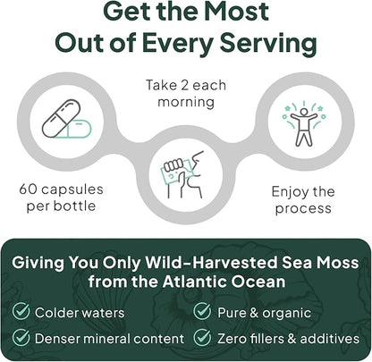 Wild Sea Moss Capsules - 100% Organic Irish Sea Moss with Organic Chlorella, Bladderwrack and Vitamin D for Energy, Lung Health and Thyroid Support for Women and Men - 6 Bottles