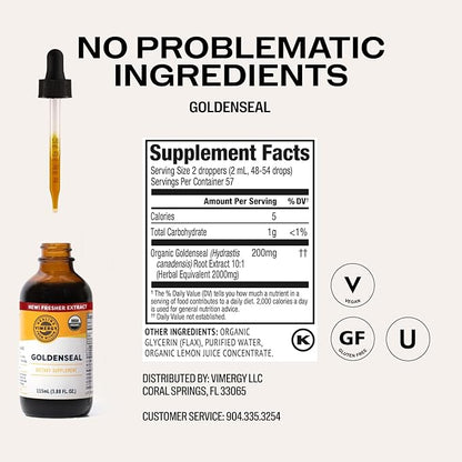 Vimergy Goldenseal Tincture Herbal Supplement – (57 Servings) 10:1 Extract Equivalent of 2000mg Herbal Equivalent– USDA Organic, Vegan, Alcohol-Free Golden Seal herb Drops Great for Tea (115 mL)