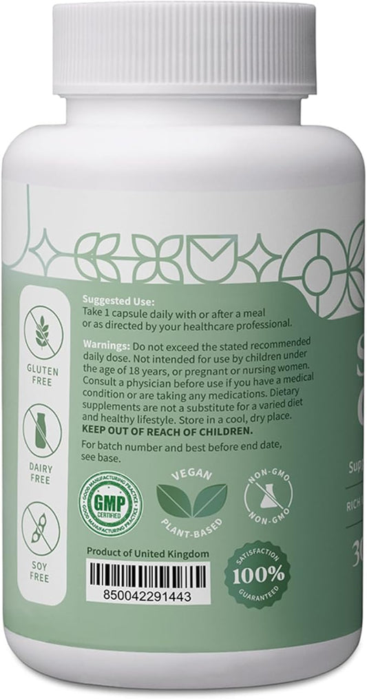 Pattern Wellness Sea Moss Complex - Organic Sea Moss, Burdock Root, Bladderwrack, Vitamin C, & Ginger Capsules - Immune Support, Digestive Health, Energy Support - Vegan, Non-GMO - 30 Capsules