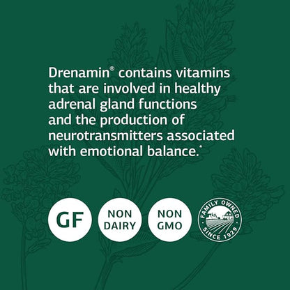 Standard Process Drenamin - Whole Food Antioxidant, Adrenal Support and Immune Support with Shitake, Alfalfa, Rice Bran, Riboflavin, Calcium Lactate, Choline - 90 Tablets