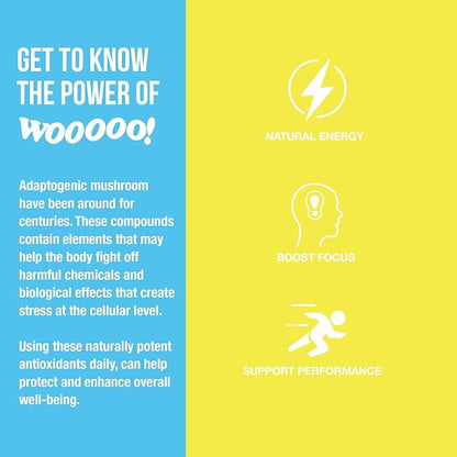 Wooooo! Energy Ric Flair Sparkling Adaptogenic Mushroom Energy Drink | Natural Antioxidants & Nootropics | Lion’s Mane & Cordyceps | 150mg Caffeine | 12 Pack (Lemon)