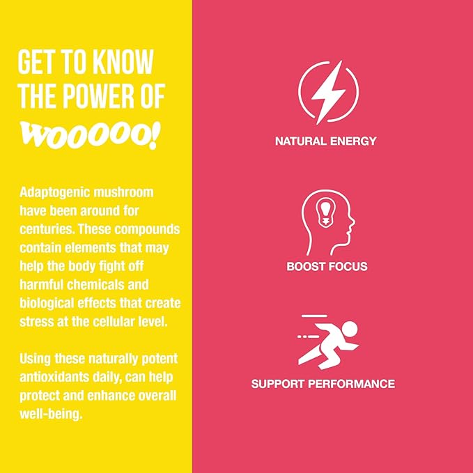 Wooooo! Energy Ric Flair Sparkling Adaptogenic Mushroom Energy Drink | Natural Antioxidants & Nootropics | Lion’s Mane & Cordyceps | 150mg Caffeine | 12 Pack (Strawberry Banana)