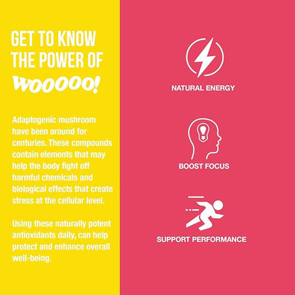 Wooooo! Energy Ric Flair Sparkling Adaptogenic Mushroom Energy Drink | Natural Antioxidants & Nootropics | Lion’s Mane & Cordyceps | 150mg Caffeine | 12 Pack (Strawberry Banana)