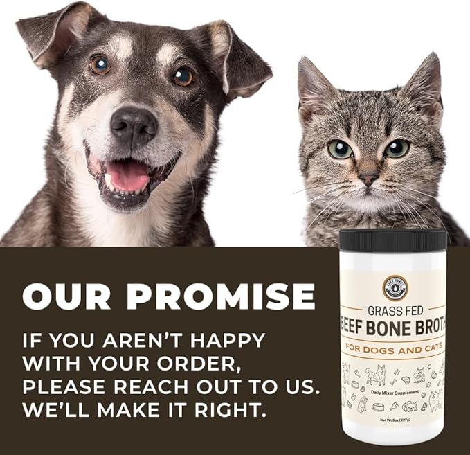 8oz Beef Bone Broth Powder for Dogs and Cats - Human Grade Grass-Fed for Picky Eaters - Supports Joints and Gut Health - Single Ingredient Dog Food Topper for Dry Food