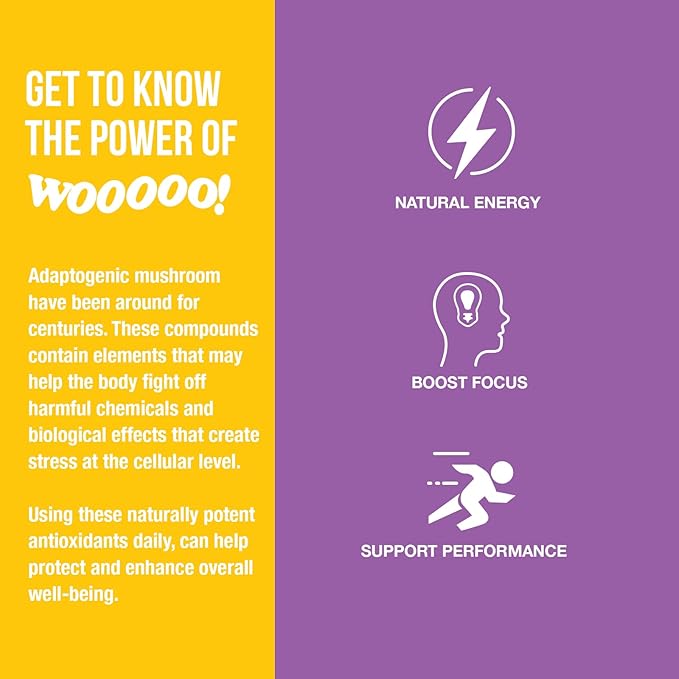 Wooooo! Energy Ric Flair Sparkling Adaptogenic Mushroom Energy Drink | Natural Antioxidants & Nootropics | Lion’s Mane & Cordyceps | 150mg Caffeine | 12 Pack (Pineapple Berry)