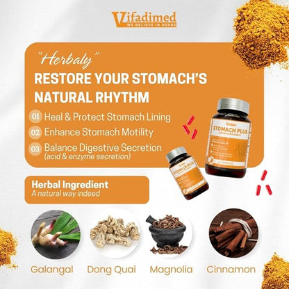 Stomach Plus - for Stomach, Gastritis, Stomach Lining Repair, Acid Reflux, Heartburn, Indigestion, with Galangal, Dong Quai, Cinnamon & Magnolia-90capsules