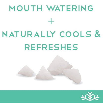 Wintergreen Xylitol Candy Chips - SNØ 1LB Bag - Handcrafted w/ONLY 2 Ingredients | Diabetic-friendly, Non-GMO, Vegan, Keto, GF & Kosher | Purest sugar-free candy in the world!