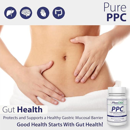 PhosChol PPC Polyenyl PhosphatidylCholine Choline Supplement 900mg 100 Gelatin Capsules