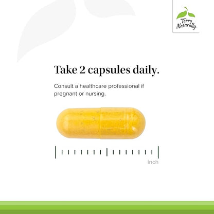 Terry Naturally Healthy Feet & Nerves - Herbal Supplement with Bioactive Vitamin B12 - Circulation & Nerve Health Support Supplement - Vegan Capsules with Boswellia Serrata - 120 Capsules (Pack of 2)