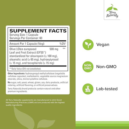 Terry Naturally Olive Extract EP20 - Brain Health Support Supplement with Olive Leaf Extract - Herbal Supplement to Aid Healthy Immune System Function - 60 Capsules (60 Servings)
