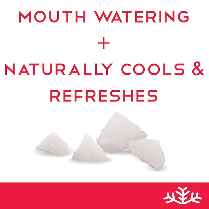 Strawberry KETO Xylitol Candy Chips - SNØ 1LB Bag - Sugar-Free Candy With Only 2 Ingredients | Low Carbs, Diabetic-Friendly, Non-GMO, Vegan, GF & Kosher | Purest candy in the world