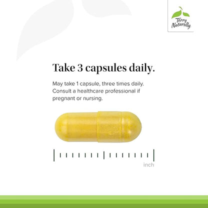 Terry Naturally Curamin - Curcumin Supplement for Circulation & Endorphin Support - Support for Occasional Discomfort - Aids Healthy Muscles - 120 Capsules (Pack of 2)