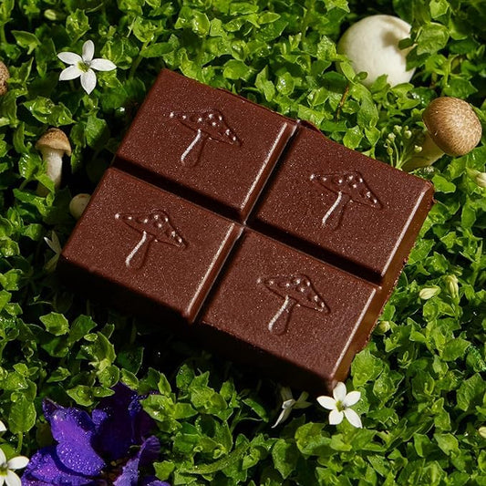 Alice Mushrooms Happy Ending 4-Pack | Sensual Mushroom Chocolates | Improves Mood, Performance, Vitality, Energy and Engagement | Cordyceps, Ashwaganda, Cayenne, Cinnamon