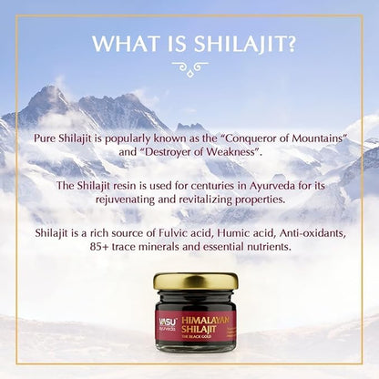VASU Ayurveda Himalayan Shilajit Resin 400mg – Lab Tested Natural Energy Booster with Fulvic Acid & 85+ Trace Minerals – Pure Shilajit for Men & Women – 50 Days Supply for Strength & Stamina (1-Pack)