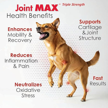 TS Joint Supplement Vet Formulated Pain & Inflammation Relief Treats Hip Dysplasia & Arthritis, Glucosamine, Chondroitin, Turmeric, MSM, HA, Creatine, Omega 3 EPA + DHA.120 Soft Chews