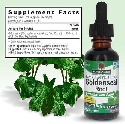 Nature's Answer Goldenseal Root | Herbal Supplement | Supports A Healthy Immune System | Gluten-Free & Alcohol-Free 1oz (2 Pack)