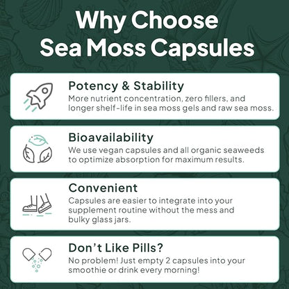 Wild Sea Moss Capsules - 100% Organic Irish Sea Moss with Organic Chlorella, Bladderwrack and Vitamin D for Energy, Lung Health and Thyroid Support for Women and Men - 60 Capsules