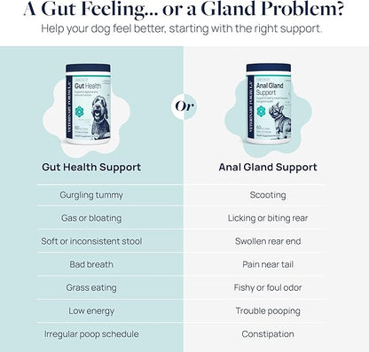 Veterinary Formula Gut Health Supplement for Dogs – Vet-Formulated Probiotic Chews with Digestive Enzymes & Fiber – Smart Vitality Supports Digestive Health, Gut Balance & Stool Quality, 60 Soft Chews