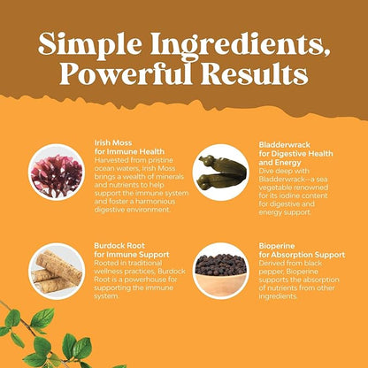 Organic Irish Sea Moss Capsules - Organic Sea Moss Pills with 2100mg Serving Superfood Complex with Bladderwrack Burdock Root and BioPerine for Immune Skin & Thyroid Support - Vegan Non-GMO (1 Month)