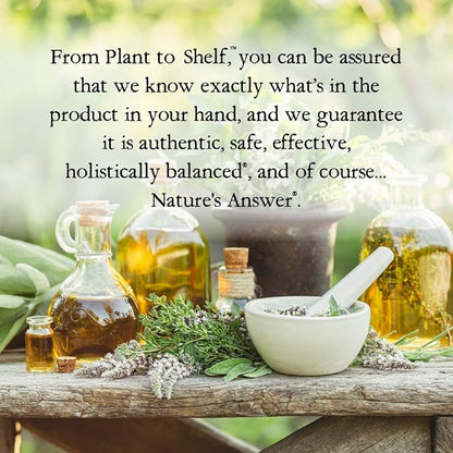 Nature's Answer Alcohol-Free Eleuthero Root, 2-Fluid Ounces | Vegan | No Preservatives Gluten Free Eleuthero Extract