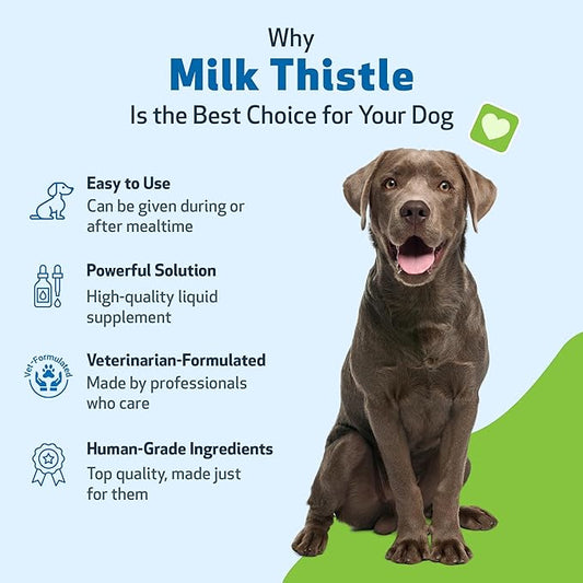 Pet Wellbeing Milk Thistle for Dogs - Organic, Supports Liver Health, Healthy Detoxification, Antioxidants, Liver Cell Support, Silymarins - Veterinarian-Formulated Herbal Supplement 2 oz (59 ml)
