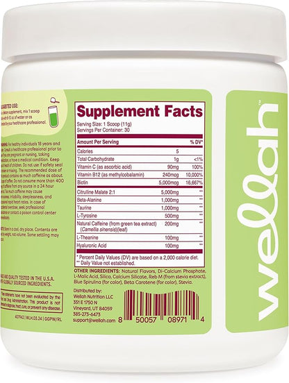 Wellah Get-Going Pre-Workout Drink Mix (Green Apple Flavored, 30 Servings)