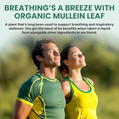 5-in-1 Mullein Drops for Lungs and Bronchial - Respiratory Lung Health Support with Mullen Leaf Extract for Lungs - Mullein Tincture with Elderberry, Echinacea and Ginger Root (60 Servings) (2-pack)