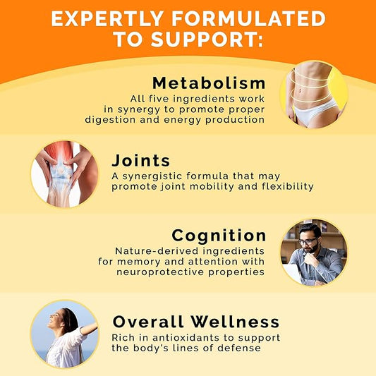 5-in-1 Ceylon Cinnamon Capsules 2355mg - Ceylon Cinnamon and Apple Cider Vinegar with Turmeric, Panax Ginseng, Cinnamon, and Bioperine, 120 ct