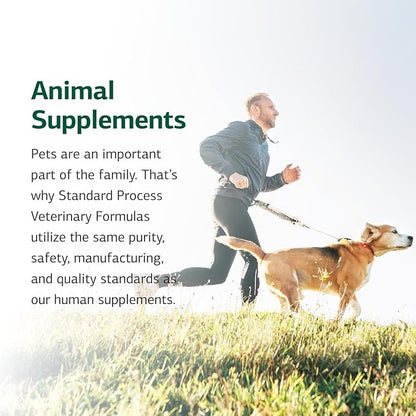 Standard Process Inc. Canine Dermal Support - Skin & Adrenal Gland Supplement - Comprehensive Skin Health Supplement for Dogs - Daily Immune & Liver Support Powder - 125 g