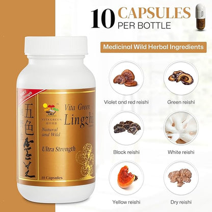 Vita Green Reishi Mushroom Capsules for Energy, Memory, and Immune Support – Pure Reishi Supplement with Natural Antioxidants for Daily Wellness and Engery – 10 Capsules
