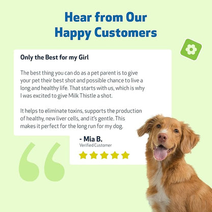Pet Wellbeing Milk Thistle for Dogs - Organic, Supports Liver Health, Healthy Detoxification, Antioxidants, Liver Cell Support, Silymarins - Veterinarian-Formulated Herbal Supplement 2 oz (59 ml)